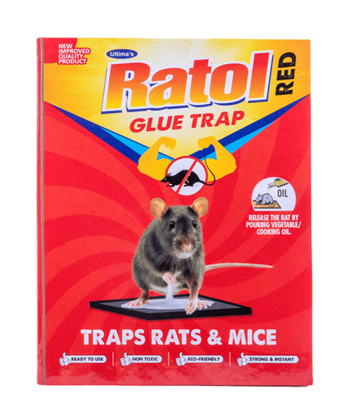 Ratol Glue Trap
